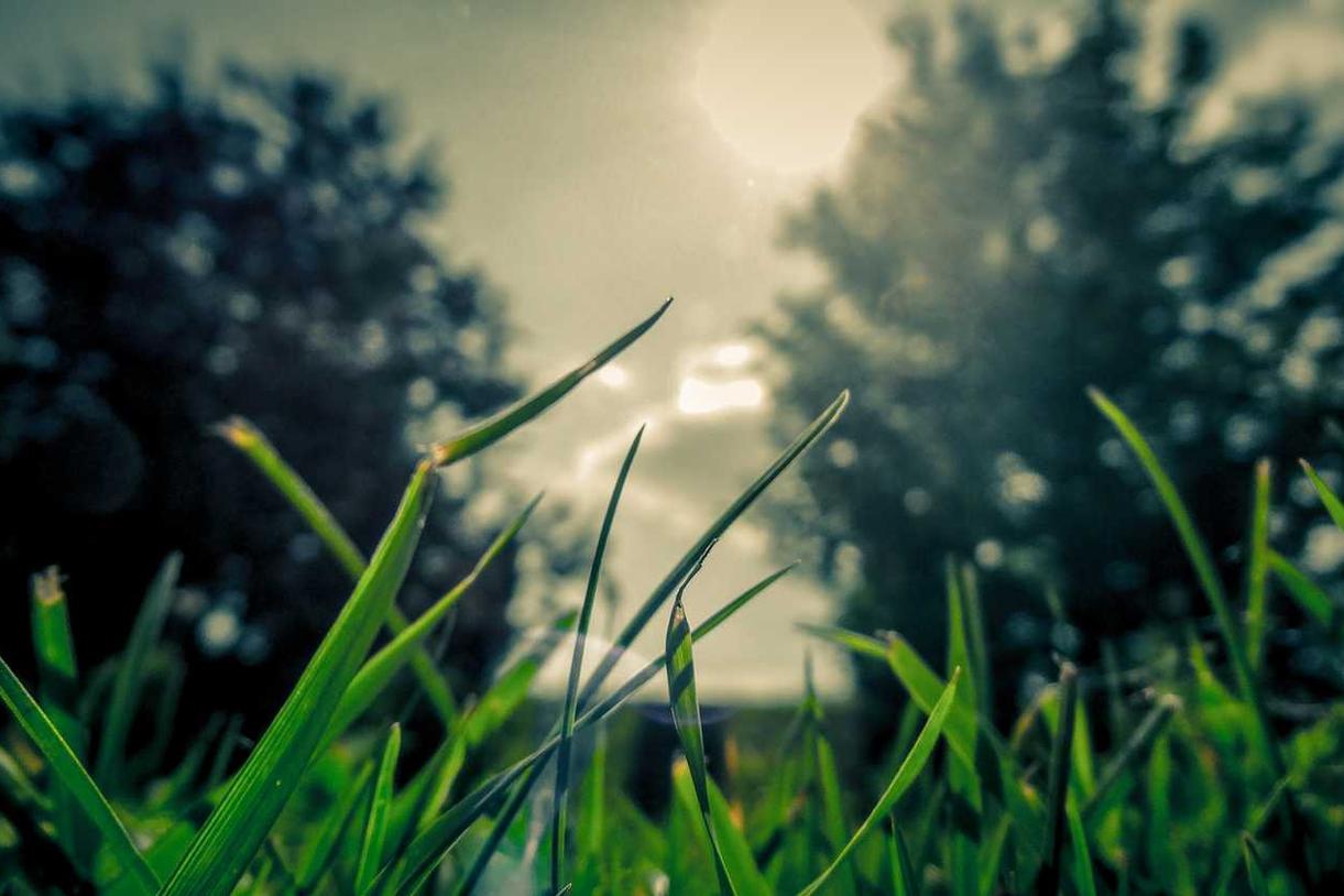 Asperiores adipisci a unde ipsa cupiditate explicabo ab